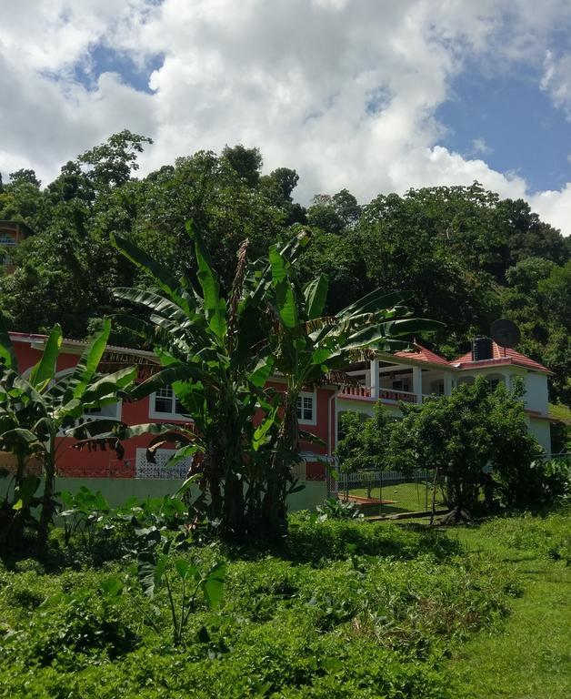 Polish Princess Guest House Port Antonio Exterior foto