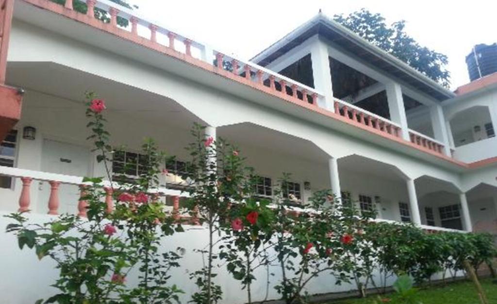 Polish Princess Guest House Port Antonio Exterior foto